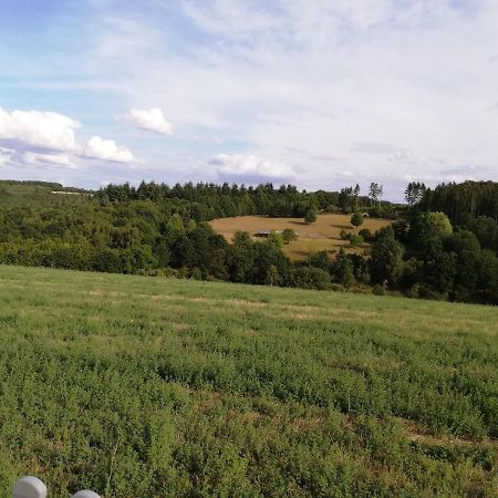 Ferienwohnung Altmaier - Ferien Auf Dem Lande Griebelschied Экстерьер фото
