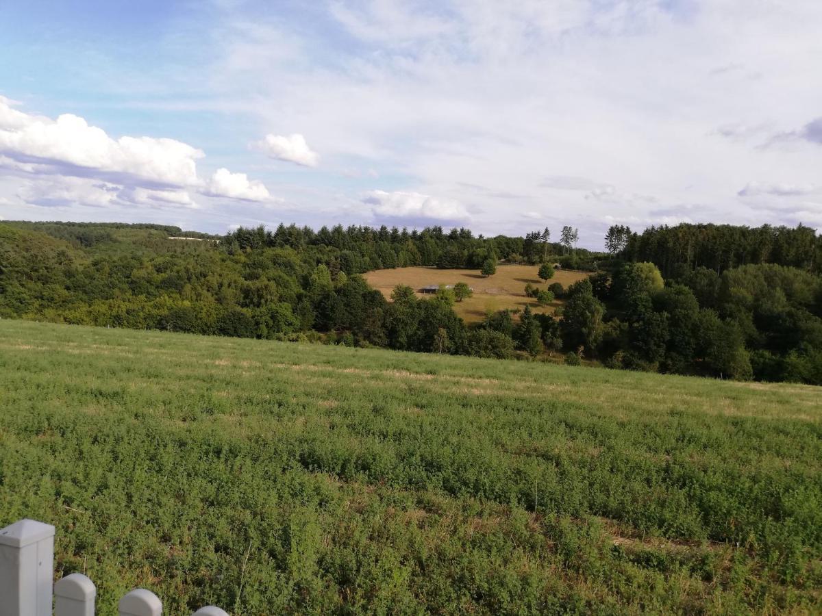Ferienwohnung Altmaier - Ferien Auf Dem Lande Griebelschied Экстерьер фото