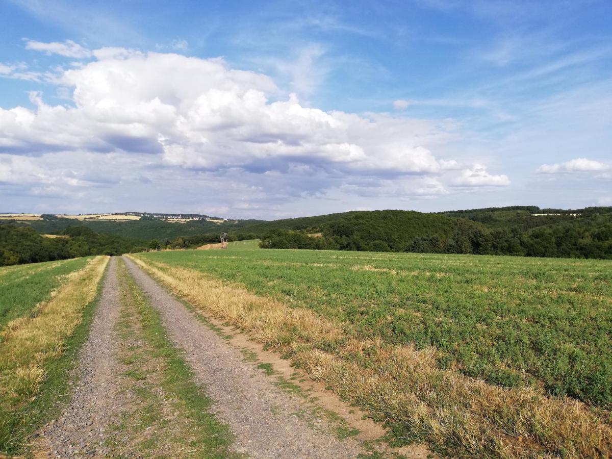 Ferienwohnung Altmaier - Ferien Auf Dem Lande Griebelschied Экстерьер фото