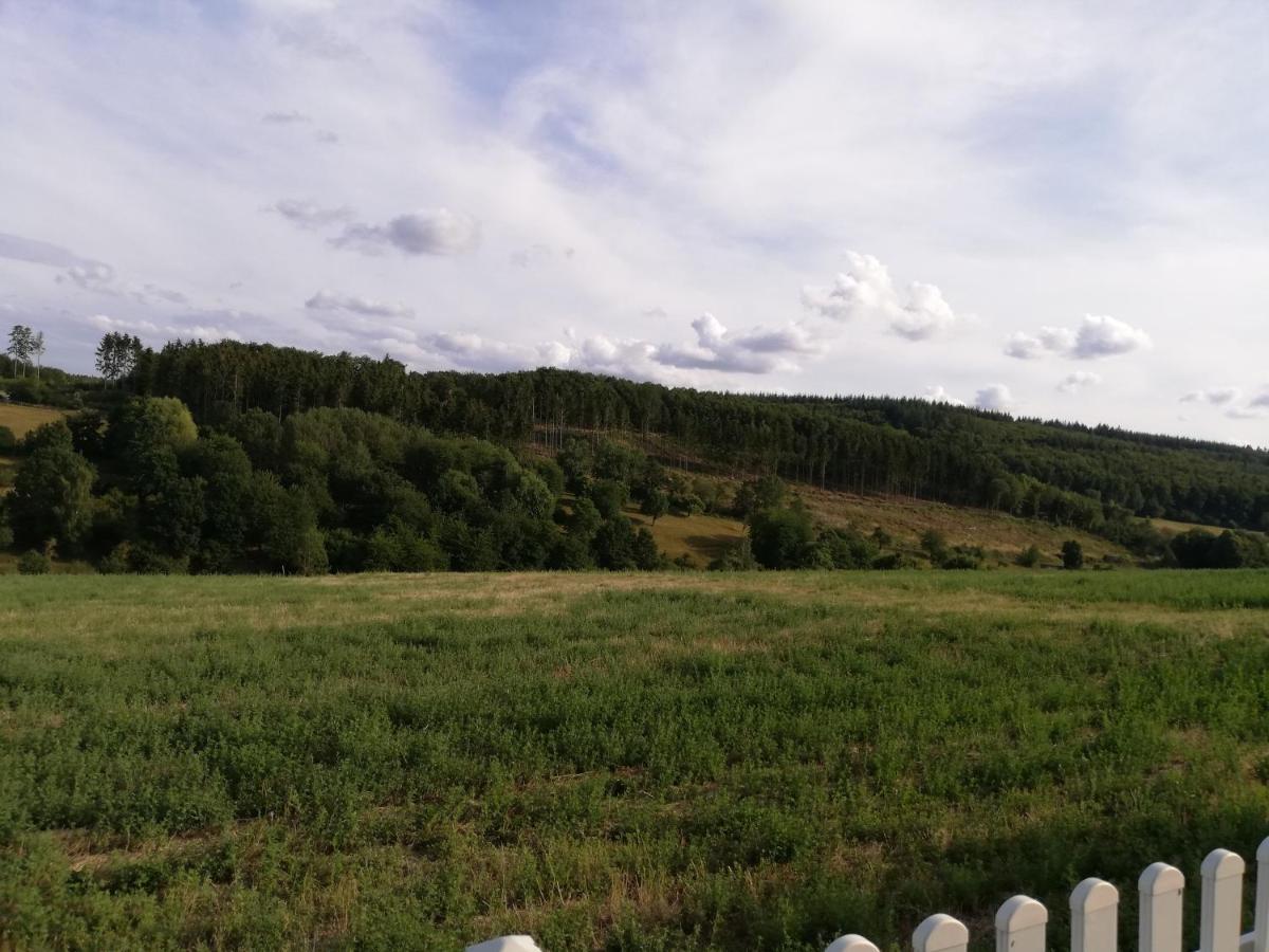Ferienwohnung Altmaier - Ferien Auf Dem Lande Griebelschied Экстерьер фото